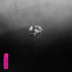 EDGE RADIO RECOMMENDED: Little Simz – ‘Lotus’