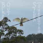EDGE RADIO RECOMMENDED: Sienna Thornton – ‘Birding Out’