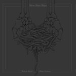 EDGE RADIO RECOMMENDED: Silver Fleet Ships – ‘Before Never, After Forever’